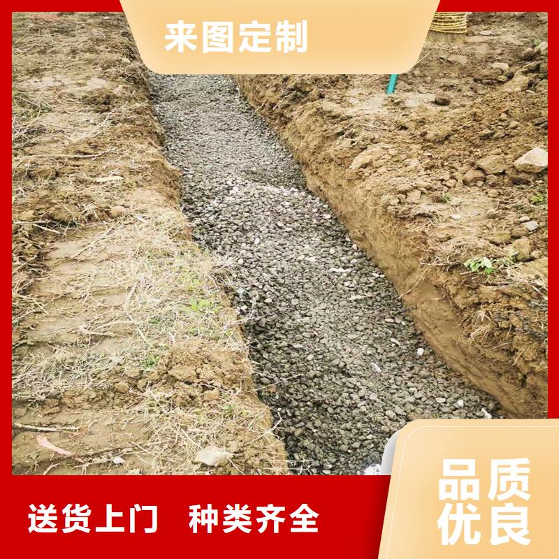 土工席墊歡迎咨詢生產廠家