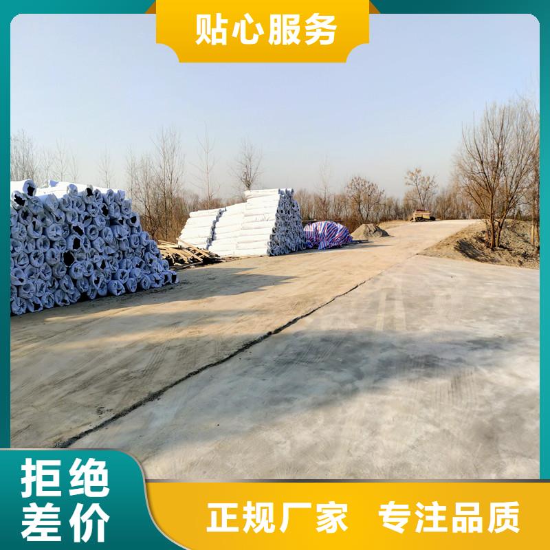 防滲塑料土工席墊庫存充足價格