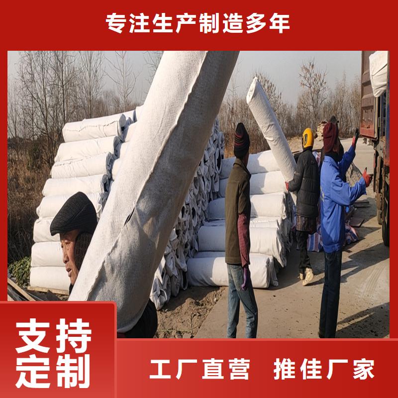滲水片材土工席墊近期行情廠家