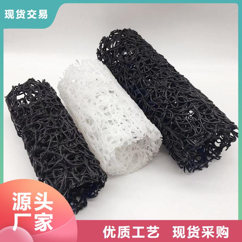 選打孔排水盲管-實體廠家可定制