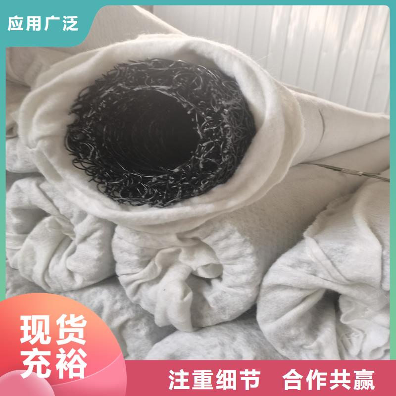 土工席墊歡迎咨詢生產廠家