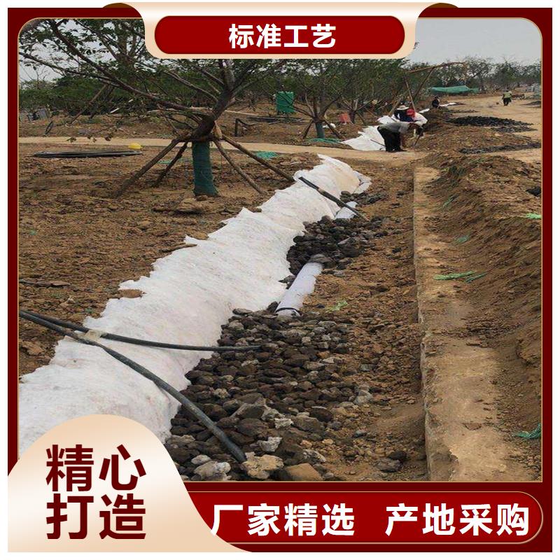 排水盲管聚丙烯纖維源廠定制