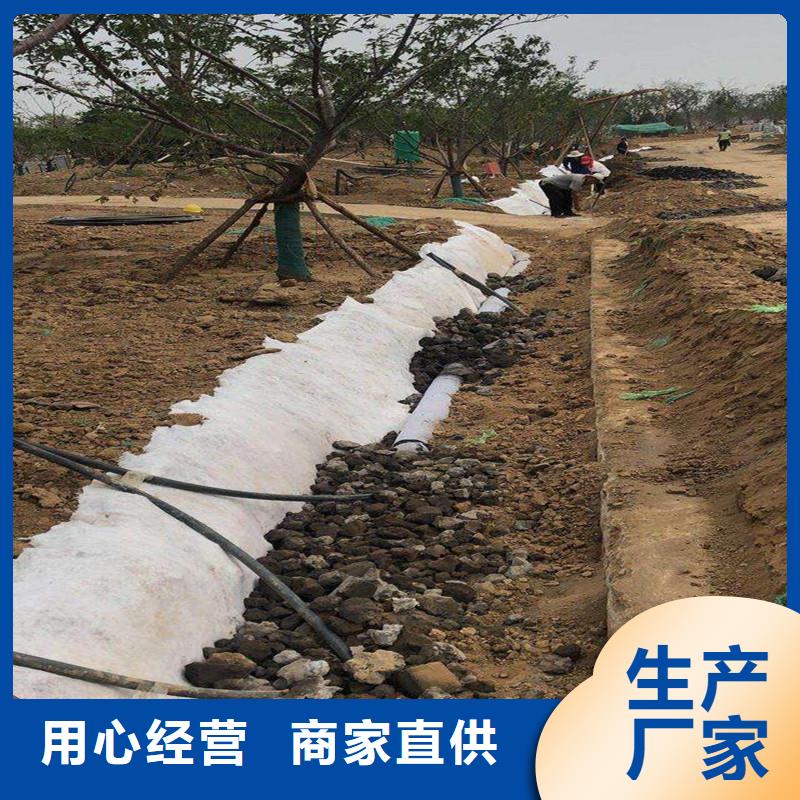 管材排水專用盲管無中間商廠家