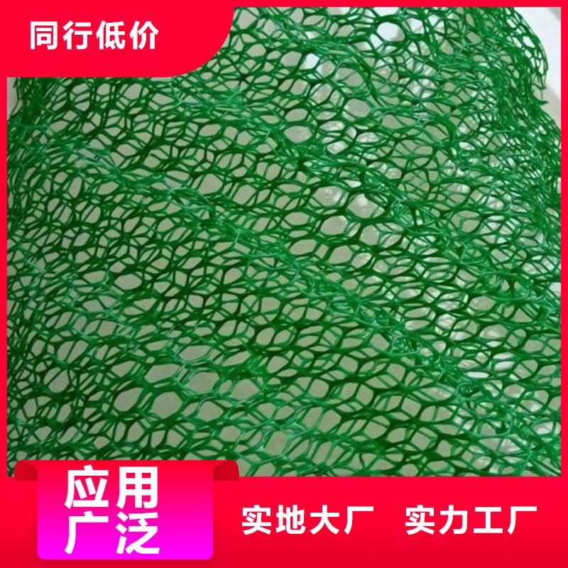 【三维植被网】,紫铜止水片厂家厂家直销售后完善