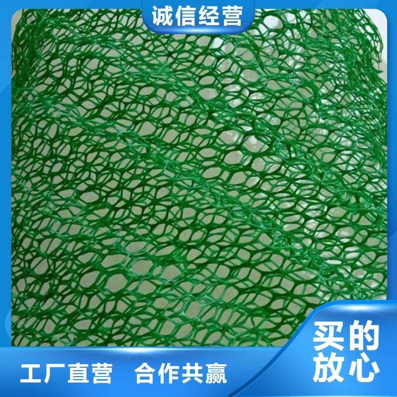 三維植被網止水銅片廠家設計合理