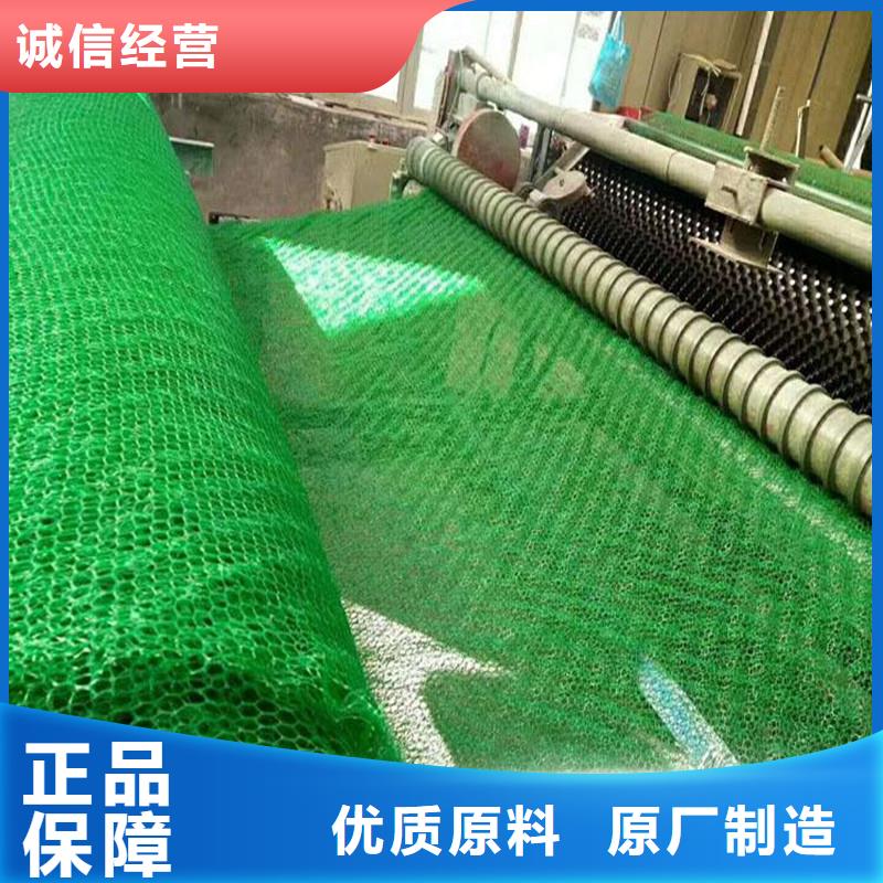 【三維植被網瀝青木絲板工期短發貨快】