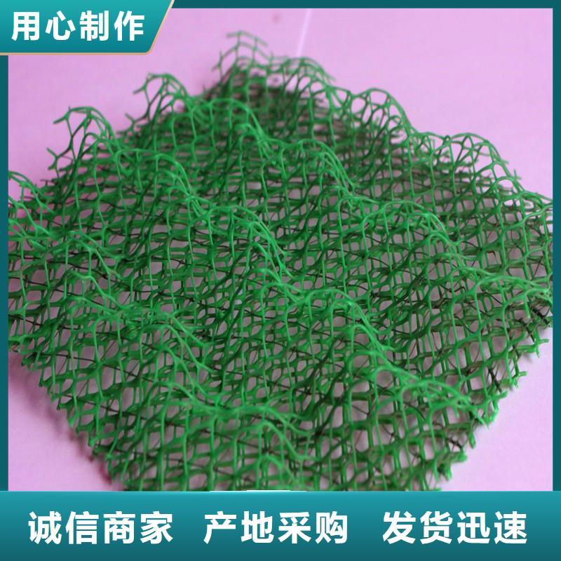 【三維植被網紫銅止水片廠家追求細節品質】