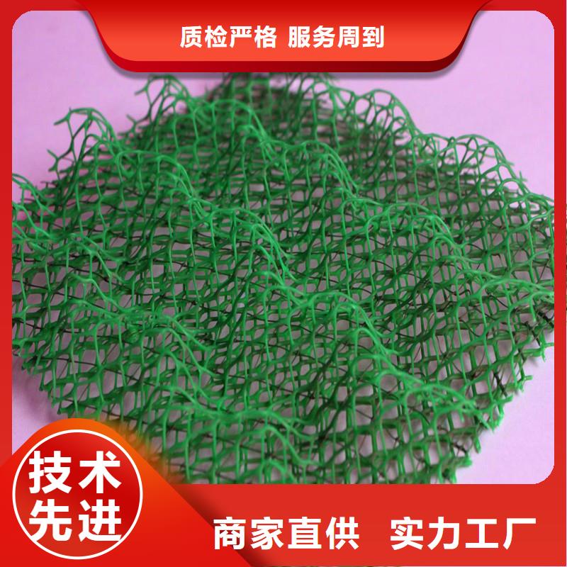 三維植被網(wǎng)抗裂纖維廠家把實惠留給您