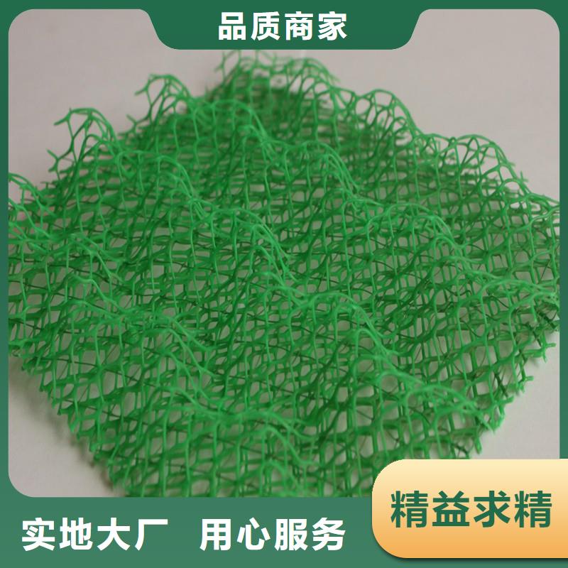 【三维植被网】,紫铜止水片厂家厂家直销售后完善