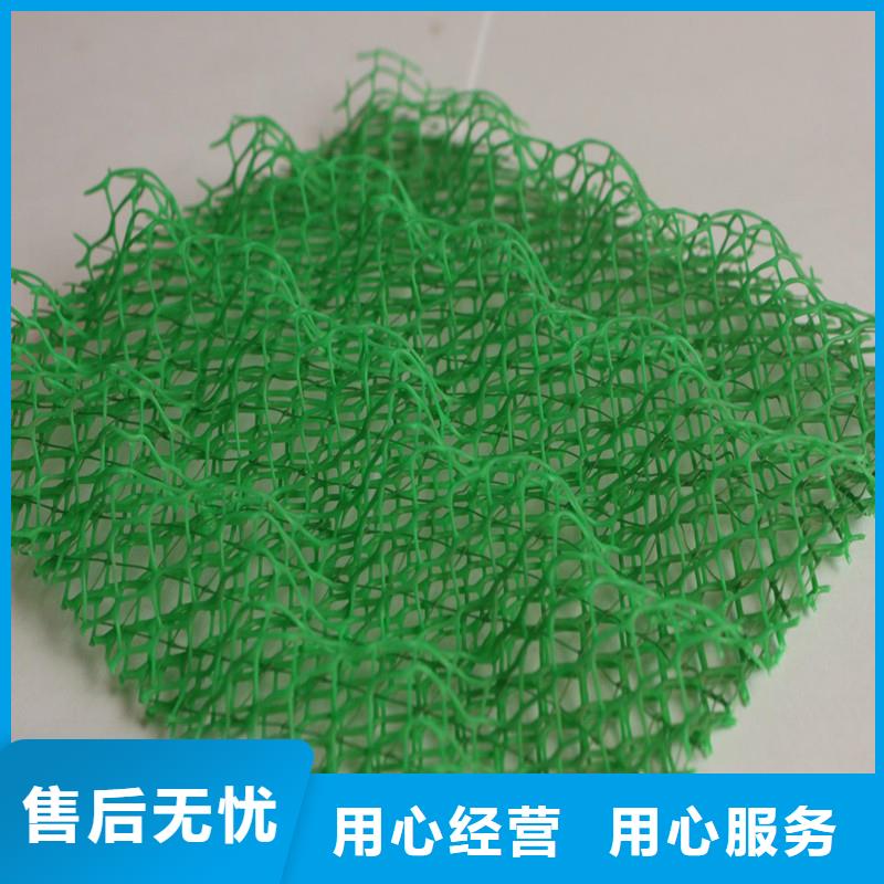 三維植被網紫銅止水片質量層層把關