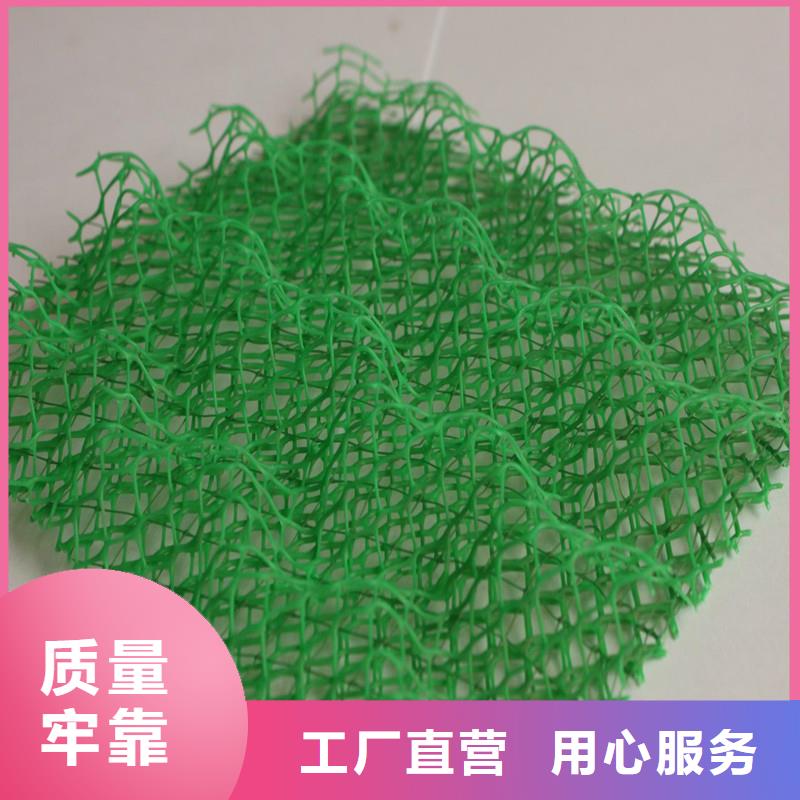 【三維植被網】-聚丙烯單絲纖維聯系廠家