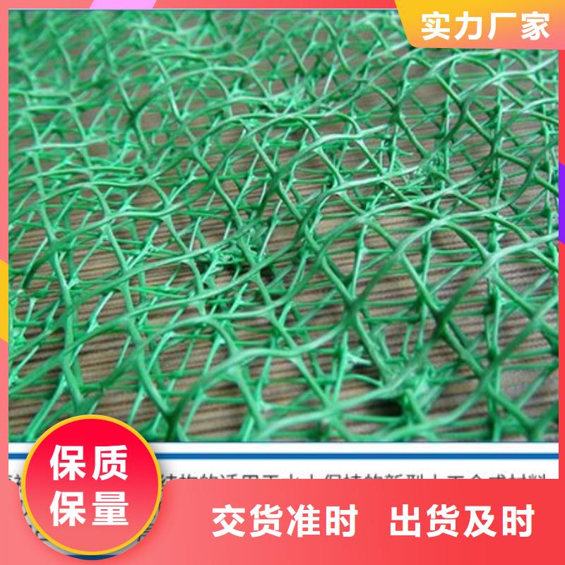 【三維植被網紫銅止水片廠家追求細節品質】
