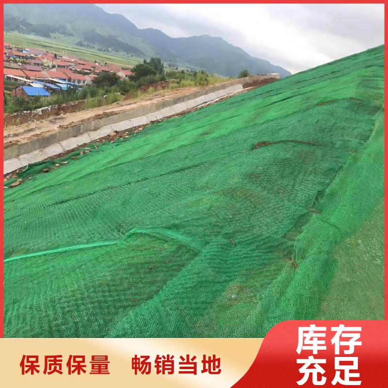 【三维植被网,沥青麻筋实力厂家直销】