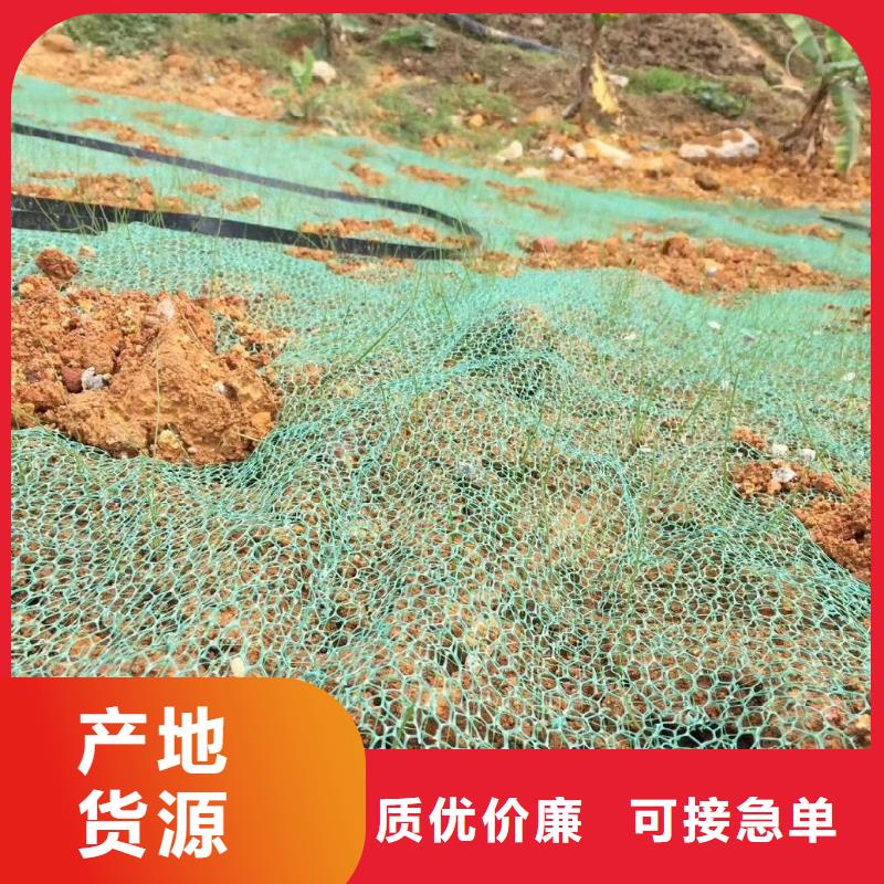 三維植被網(wǎng)抗裂纖維廠家把實惠留給您