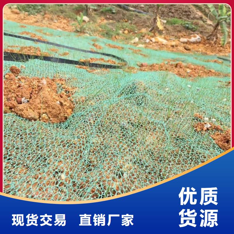 三維植被網,銅片止水客戶信賴的廠家