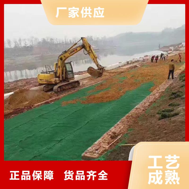 三維植被網(wǎng)銅止水選擇我們沒錯(cuò)