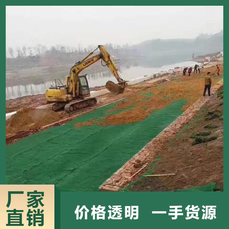 三維植被網(wǎng)_紫銅止水片廠家客戶好評(píng)