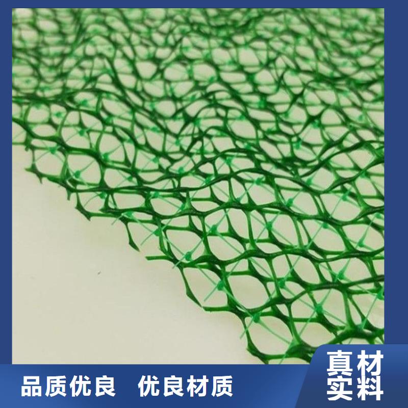 三維植被網(wǎng)【銅止水生產(chǎn)廠家】多種規(guī)格庫存充足