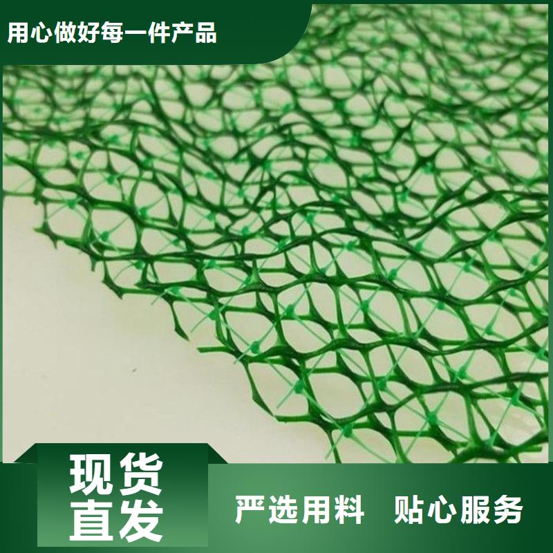 三維植被網,銅片止水客戶信賴的廠家