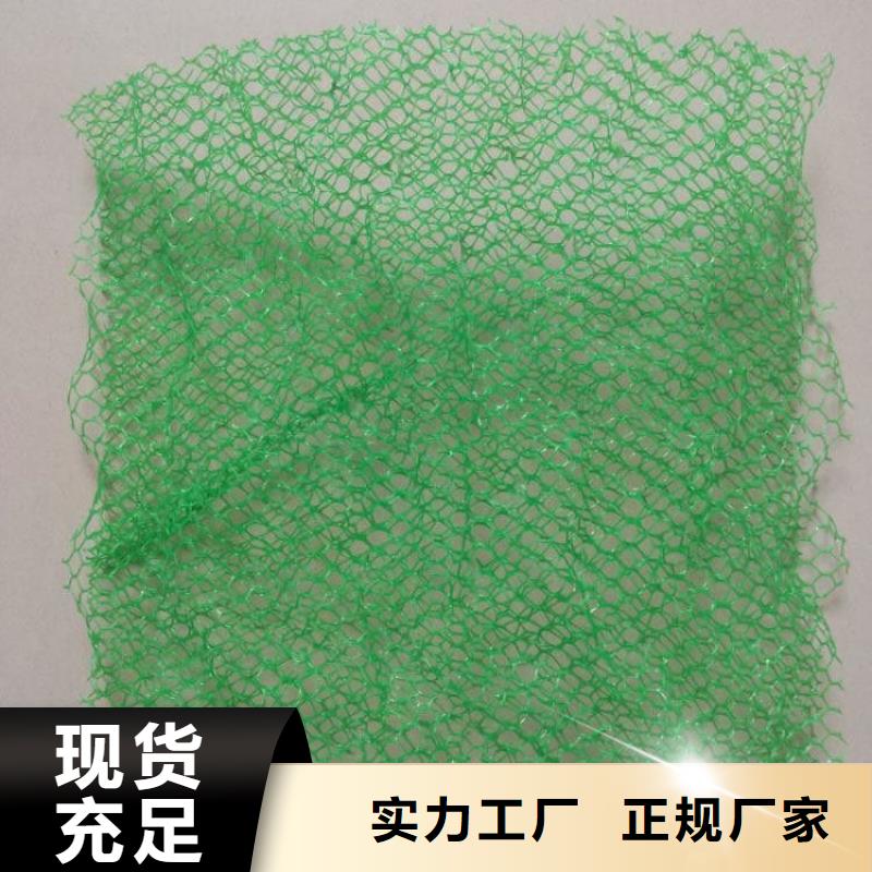 三維植被網,聚乙烯醇纖維廠家隨心所欲定制