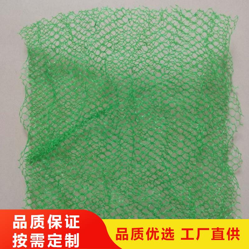 三維植被網(wǎng)土工布一周內(nèi)發(fā)貨