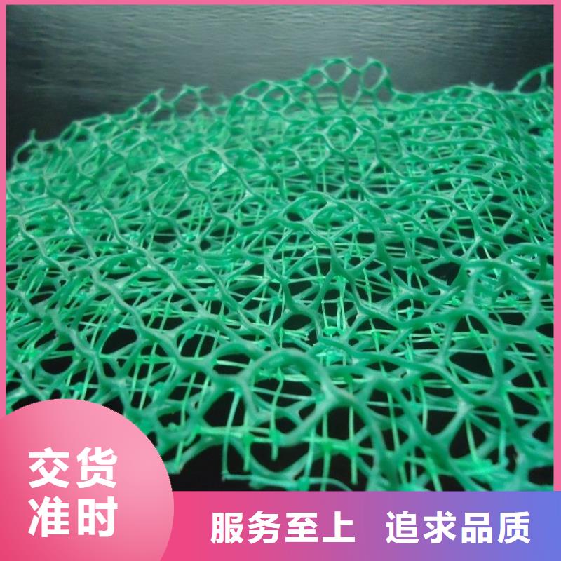 三維植被網(wǎng)【銅止水生產(chǎn)廠家】多種規(guī)格庫存充足