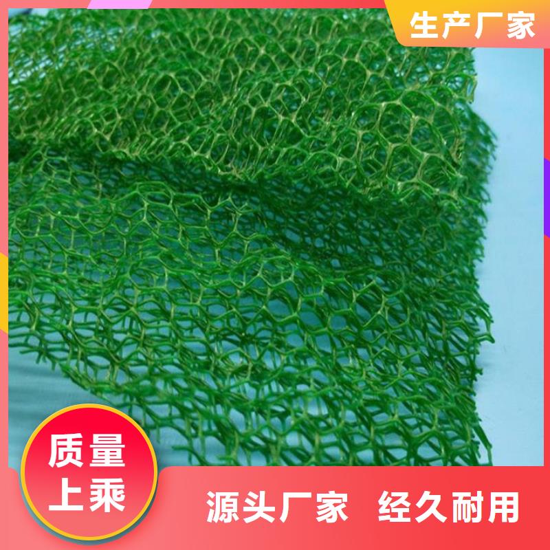 【三維植被網-聚乙烯醇纖維使用壽命長久】