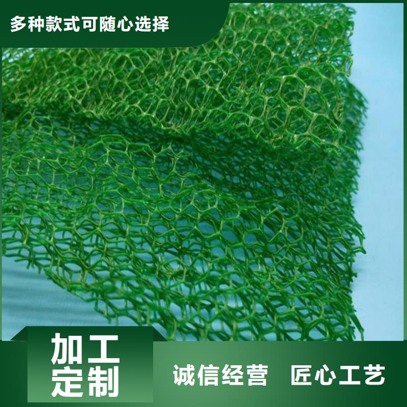 三維植被網(wǎng)【瀝青麻絲板】追求品質(zhì)
