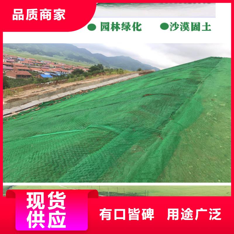 【三維植被網(wǎng)】-聚丙烯單絲纖維聯(lián)系廠家