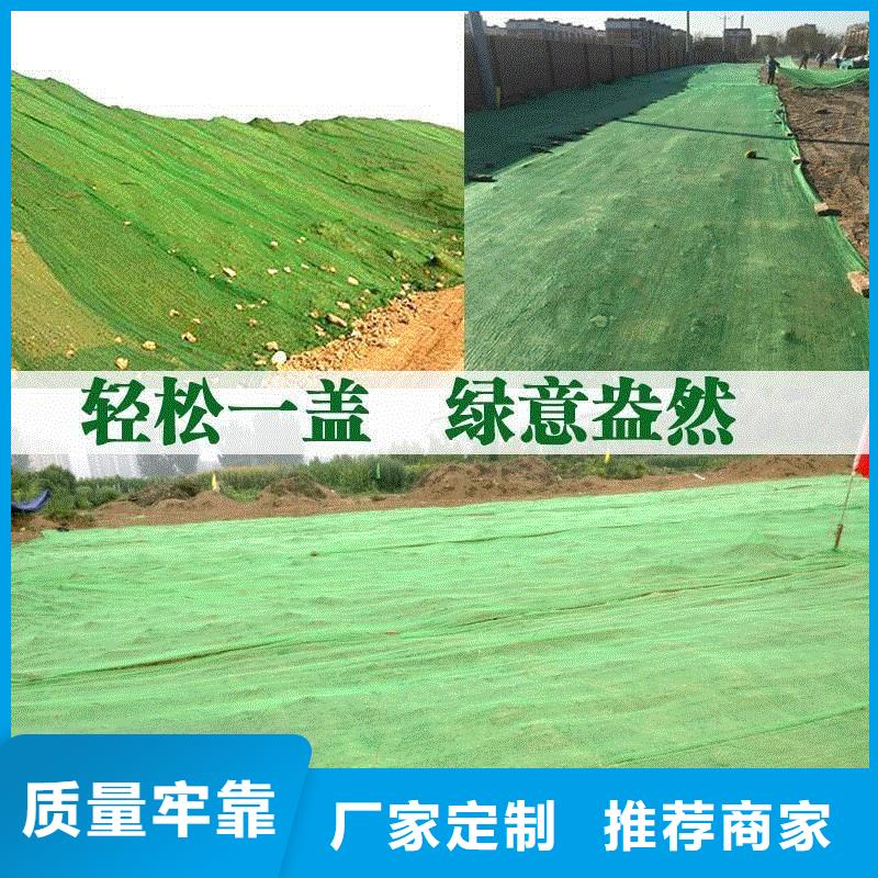 【三維植被網】-聚丙烯單絲纖維聯系廠家