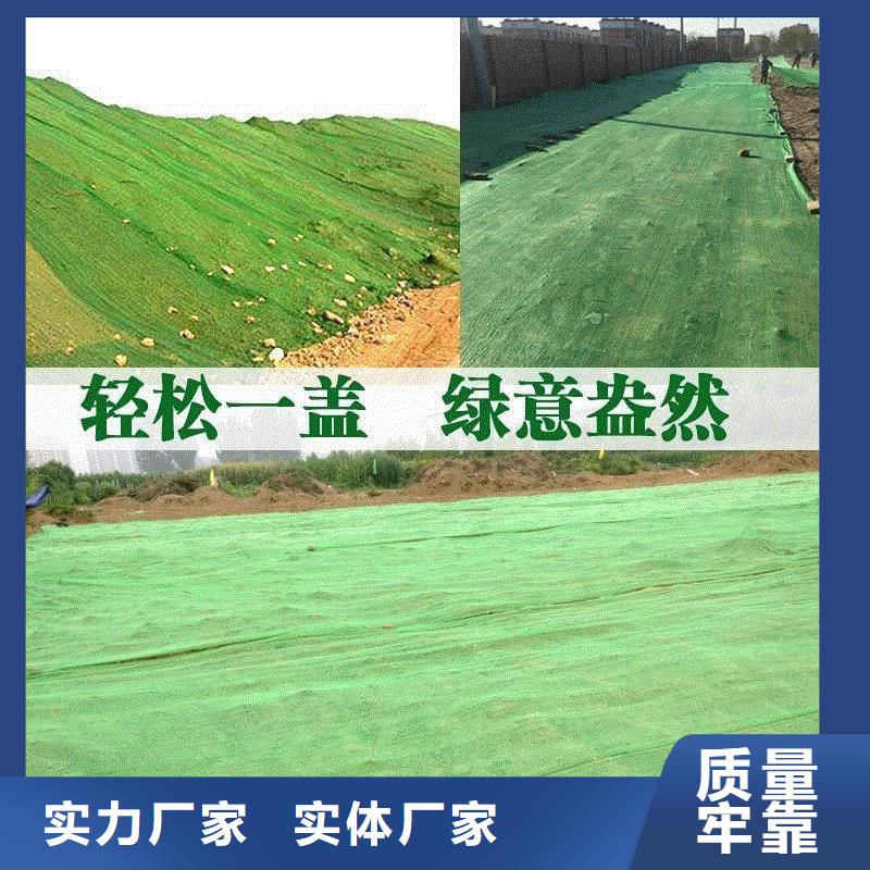 三維植被網(wǎng)【銅止水生產(chǎn)廠家】多種規(guī)格庫存充足