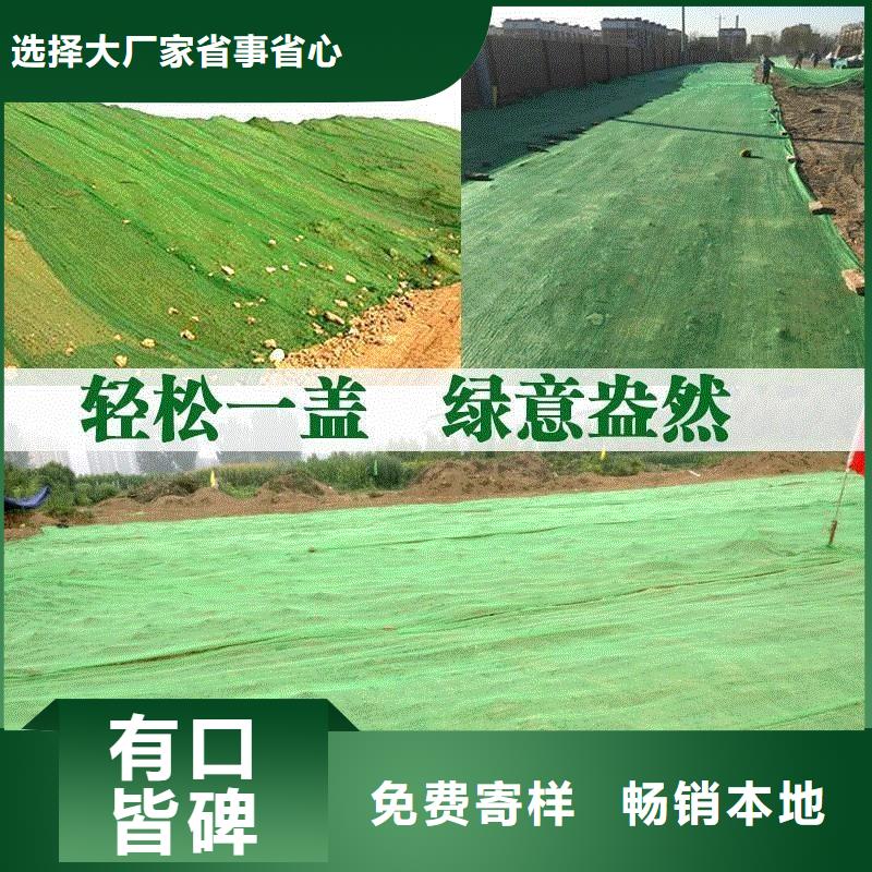 三維植被網(wǎng)銅止水選擇我們沒錯(cuò)