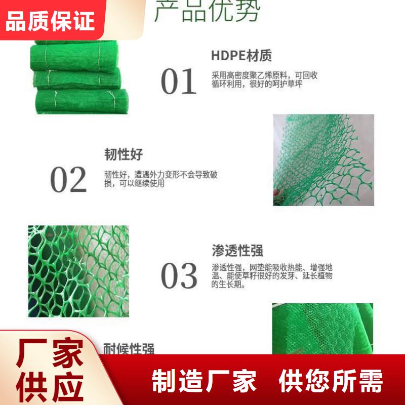 三維植被網,土工格柵精選貨源