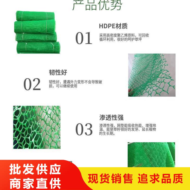 三維植被網(wǎng)【瀝青麻絲板】追求品質(zhì)