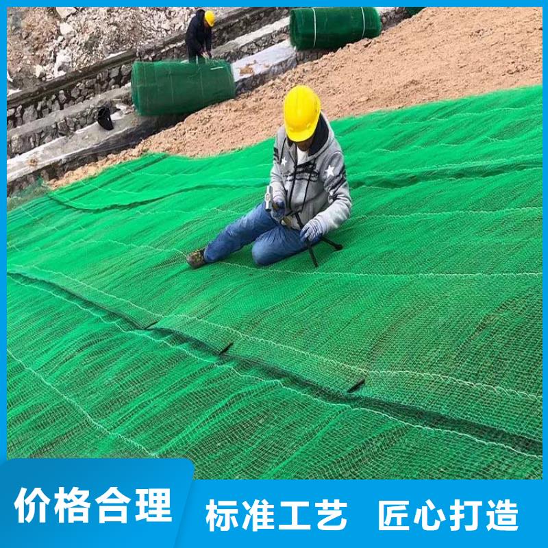 【三维植被网】,紫铜止水片厂家厂家直销售后完善