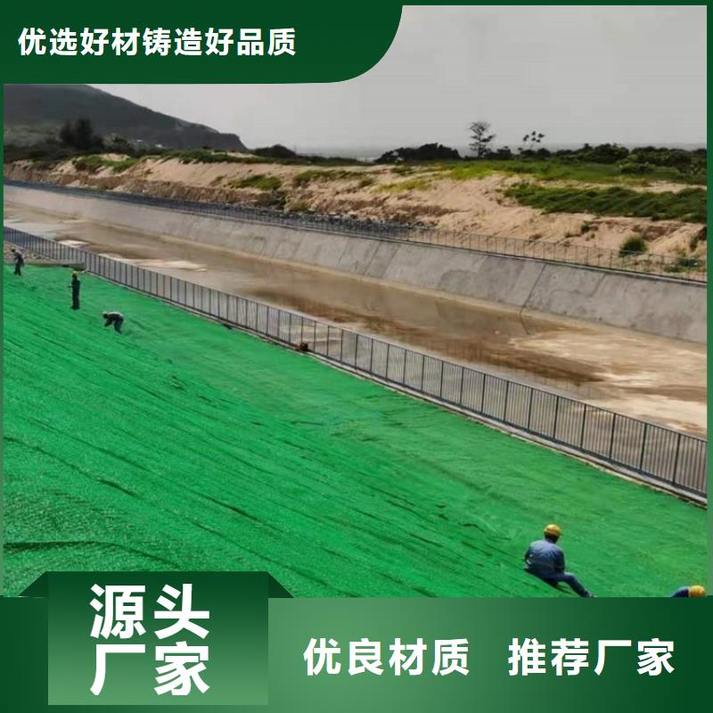 【三維植被網(wǎng)】止水銅片工藝成熟