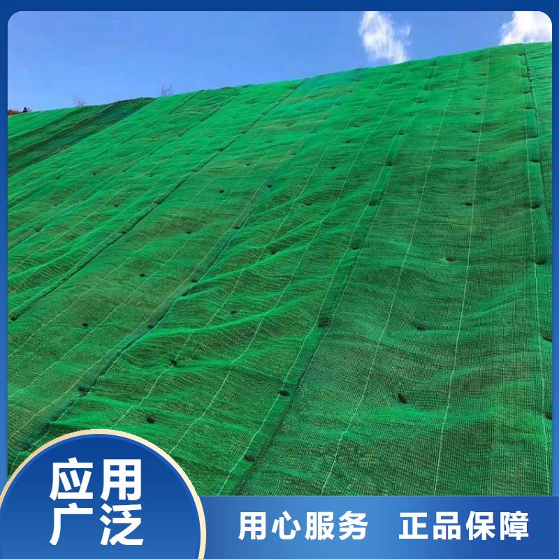 三維植被網,聚乙烯醇纖維廠家隨心所欲定制
