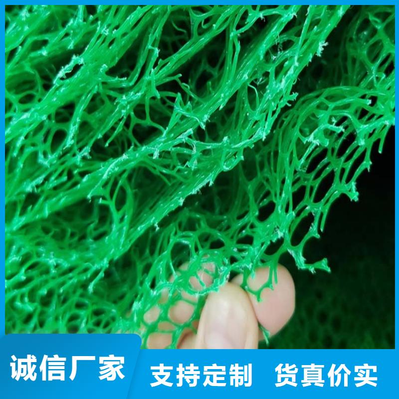 【三維植被網瀝青木絲板工期短發貨快】