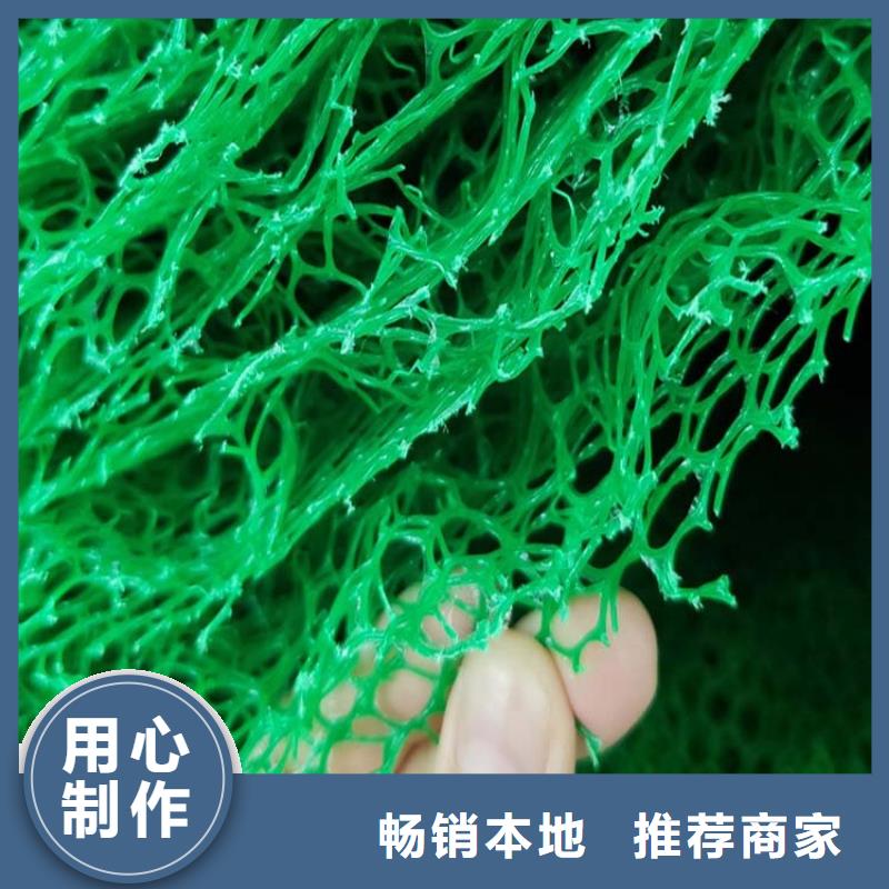 【三维植被网】,紫铜止水片厂家厂家直销售后完善