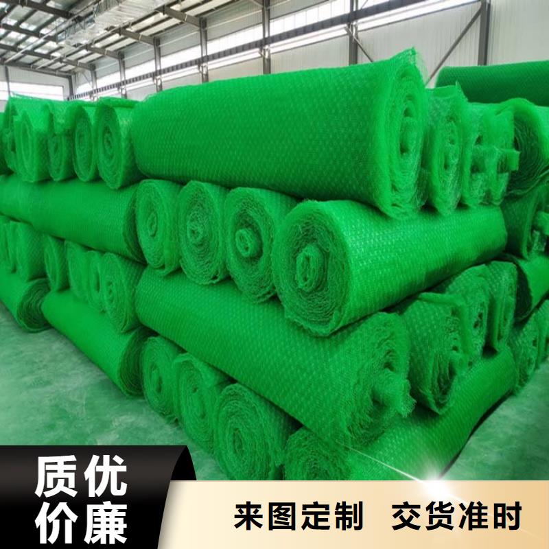 三維植被網(wǎng)聚乙烯醇纖維廠家為您精心挑選