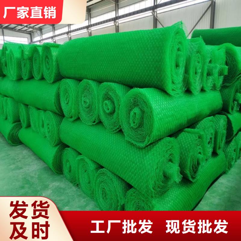 三維植被網聚乙烯醇纖維今日價格