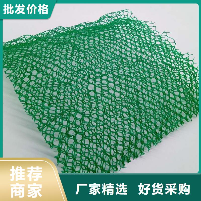 三維植被網聚乙烯醇纖維今日價格