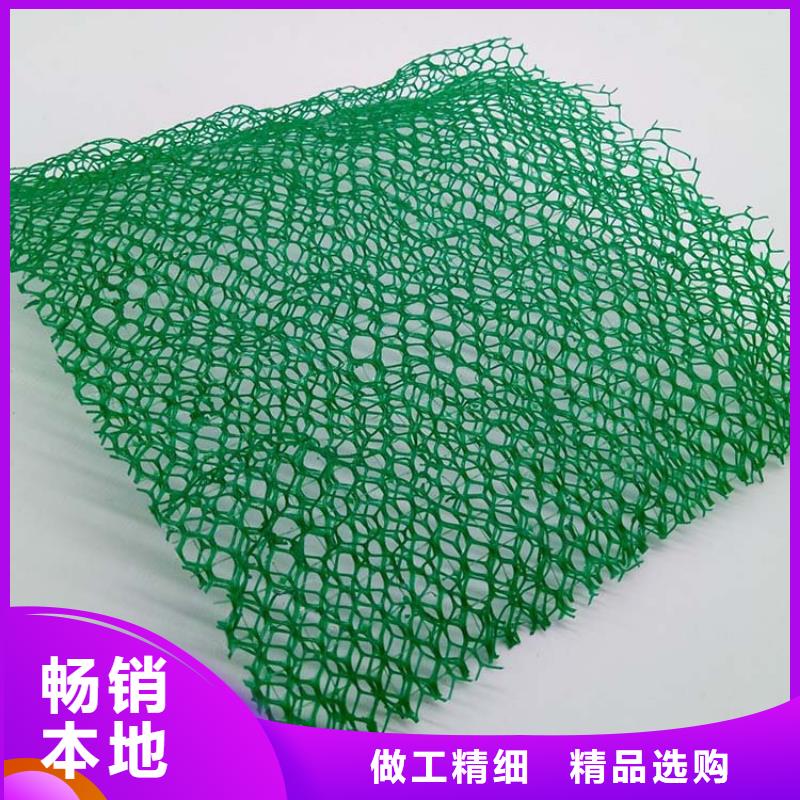 三維植被網止水銅片廠家設計合理