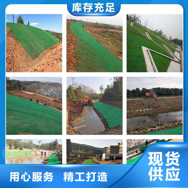 三維植被網砂漿混凝土纖維好品質用的放心