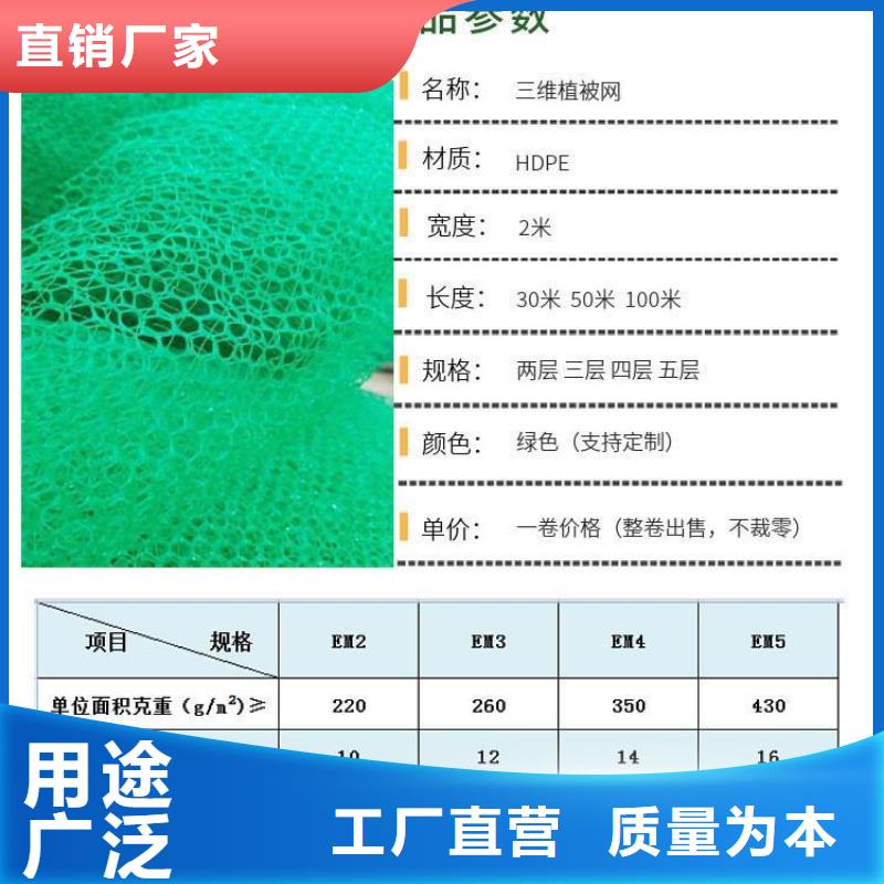 三維植被網(wǎng)_銅片止水聯(lián)系廠家