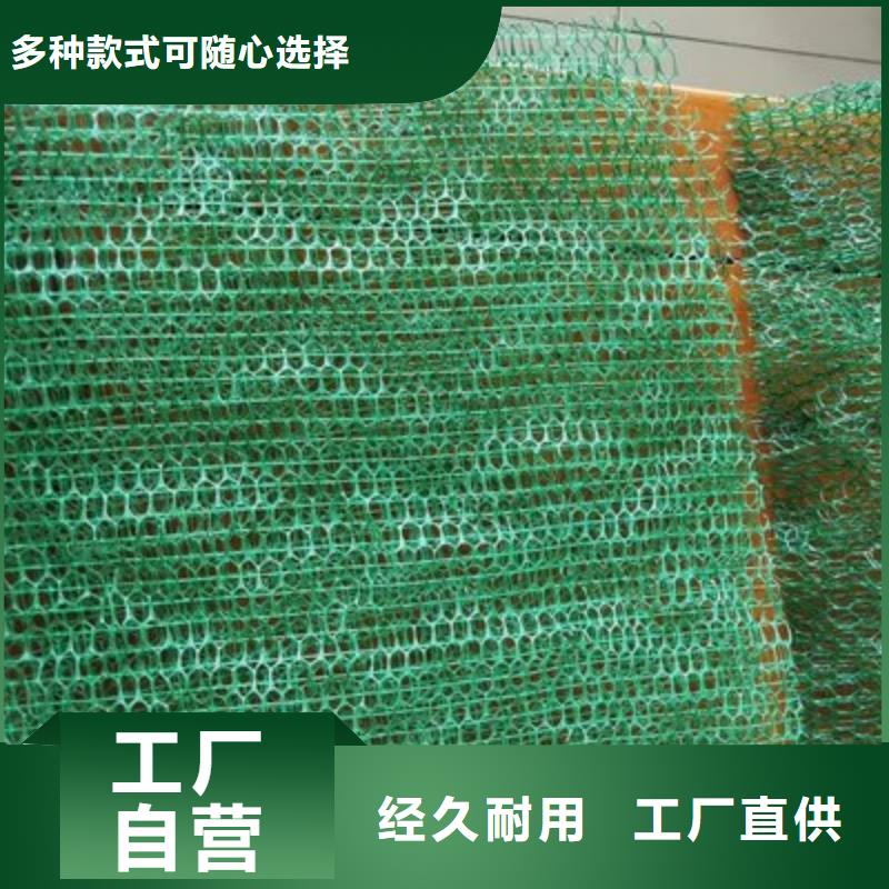 三維植被網,土工格柵精選貨源