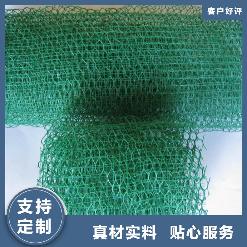 三維植被網_紫銅止水片廠家客戶好評