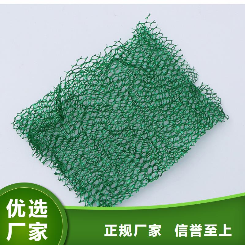 三維植被網(wǎng)聚乙烯醇纖維廠家為您精心挑選