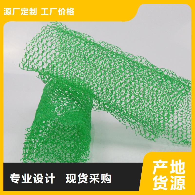三維植被網,軟式透水管廠家型號齊全