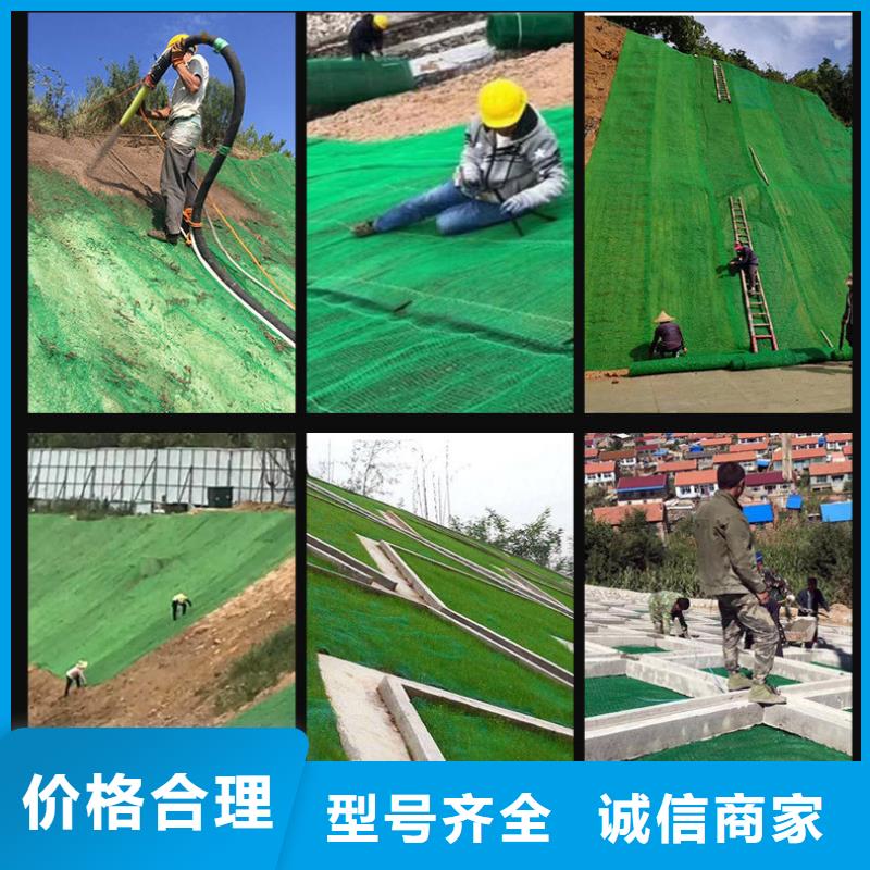 【三維植被網紫銅止水片廠家追求細節品質】